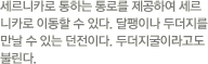 세르니카로 통하는 통로를 제공하여 세르니카로 이동할 수 있다.