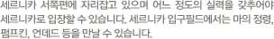 세르니카 서쪽편에 자리잡고 있으며 어느 정도의 실력을 갖추어야 세르니카로 입장할 수 있습니다. 세르니카 입구필드에서는 마의 정령, 펌프킨, 언데드 등을 만날 수 있습니다.
