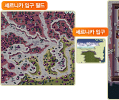 세르니카 입구 필드